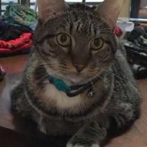 Meet your Posher, Gwen